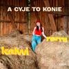 A Cyje to Konie