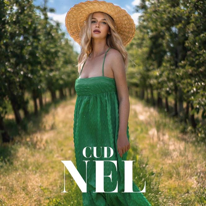 Cud