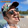 Cudowronek