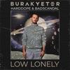 Low Lonely
