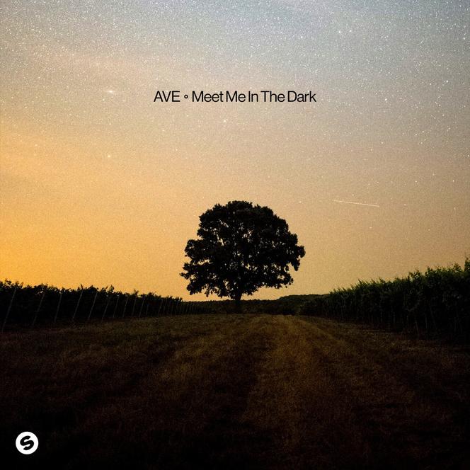 Meet Me in the Dark