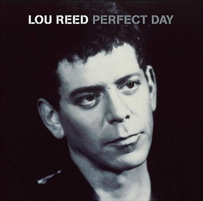 Perfect Day