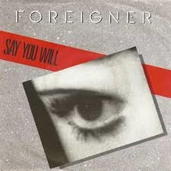 Say You Will