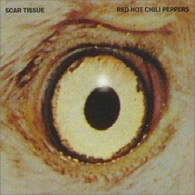 Scar Tissue
