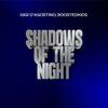 Shadows of the Night (Gigi Dag Mix)