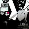 Supermassive Black Hole