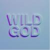 Wild God