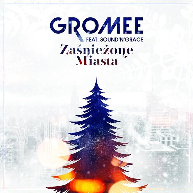 Zaśnieżone Miasta